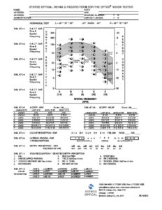 thumbnail of REHAB G record form 2017