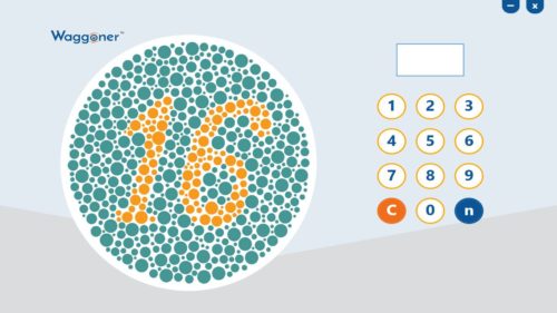 Waggoner CCVT Software