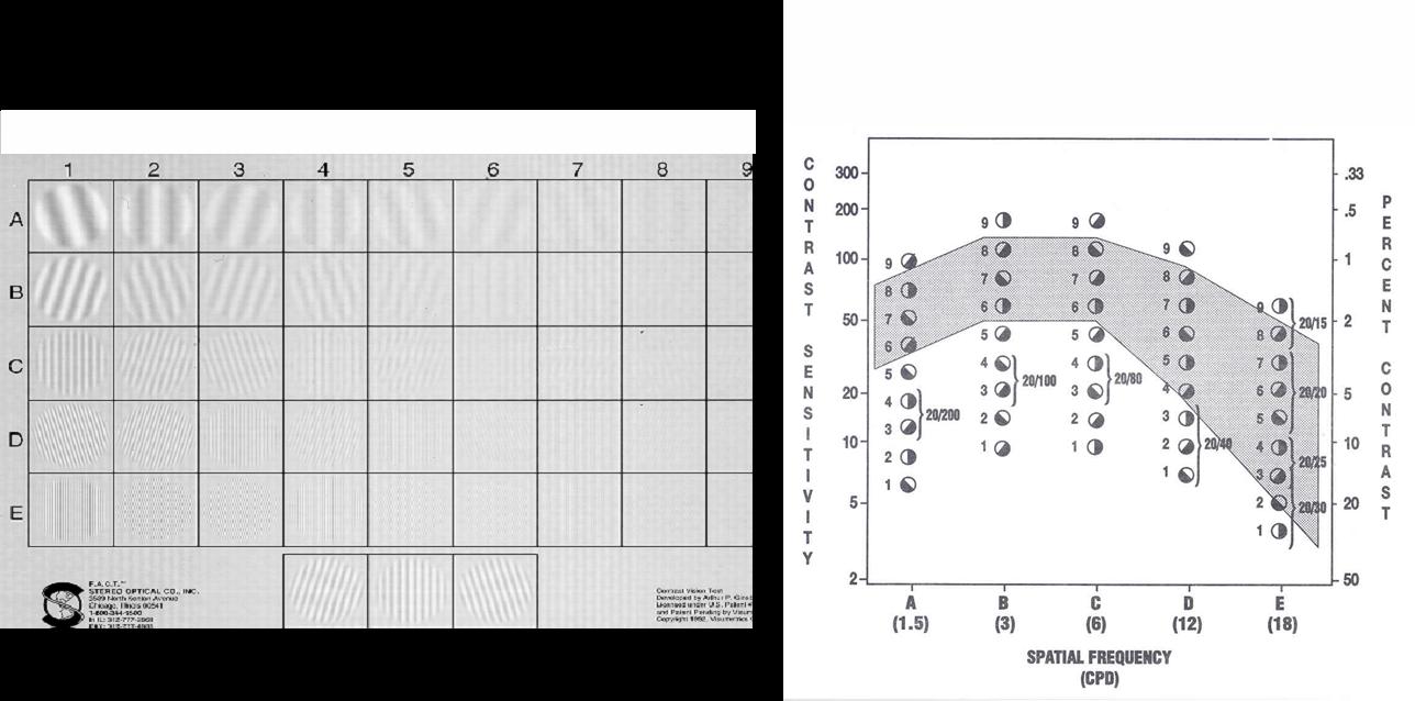 Optec 1000 Vision Tester Chart